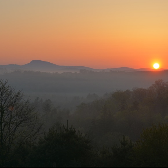 Meet your Posher, Audrey - Picture 11 of 14